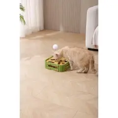 Cat Puzzle Toys Interactive Dancer Teasing Box with Squeaky Toys and Scratching Felt,Kitten Track Ball Toy for Indoor Cats