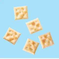 Premium Minis Original Saltine Crackers - 11oz