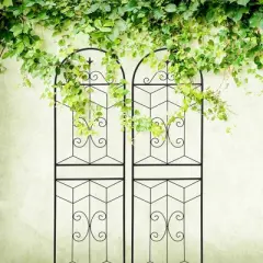 Dolonm Sleek Black Trellis Set 4 Pack - Create Privacy Screens or Plant Arches, No-Tool Assembly, Target Exclusive