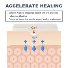 LotFancy Calcium Alginate Wound Dressing, 4"x 4" Patches, 5-Count, Sterile Non-Stick Padding