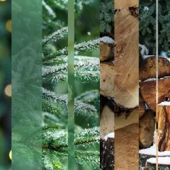 Glade PlugIns Scented Oil Air Freshener - Twinkling Pine & Cedar - 4.69oz/7pk