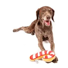 Midlee Christmas Sugar Cookie Plush Dog Toy- Candy Cane