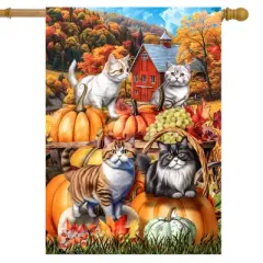 Briarwood Lane Fall House Flag 40x28 For Outdoor Pumpkin Patch Cats For Fall House Flag