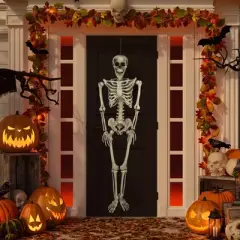Northlight Life Size Skeleton Halloween Hanging Decoration - 5'