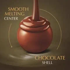 Lindt Lindor Assorted Chocolate Candy Truffles - 8.5oz