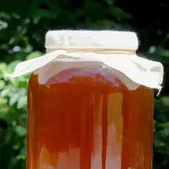 Cornucopia Brands Kombucha Jar Cloth Covers 4pk; Unbleached Muslin Cloth Covers w/ Rubber Bands, Custom Size for Kombucha Jars