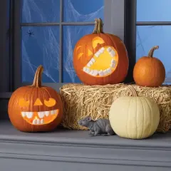 10pc Silly Push in Teeth Carving Halloween Decorative Prop Kit White - Hyde and EEK! Boutique&trade;