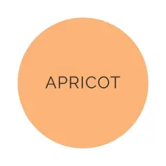 Jollity & Co. - Shade Large Napkins in Apricot - Pack of 16 Paper Napkins