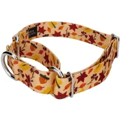 Country Brook Petz Fall Foliage Martingale Dog Collar and Leash