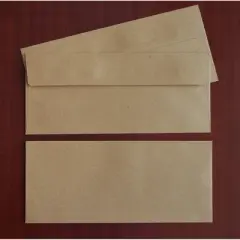 40ct Kraft Envelope: Great Papers! Brown Mailing Envelopes, 9.5" x 4.125", Gummed Flap, 40 Pack