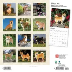 Browntrout 2024 Wall Calendar 12"x12" Shiba Inu
