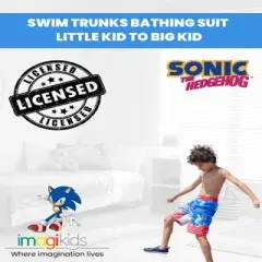 SEGA  Sonic The Hedgehog     Swim Trunks Bathing Suit Little Kid to Big Kid