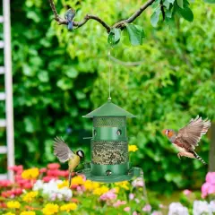LakeForest "Squirrel-Proof Metal Wild Bird Feeder with Chew-Proof Design, 360&deg; Perches & Water Cups for Outdoors"Green