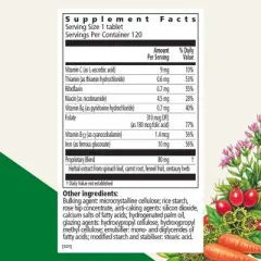 Floradix Iron Tablets - Iron Supplement with Folic Acid, Vitamin C & More - Energy Support* - Vegetarian, Gluten-Free