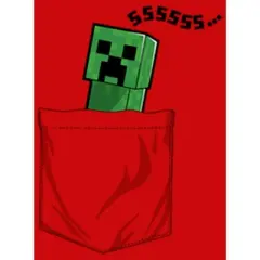 Boy's Minecraft Faux Pocket Creeper T-Shirt
