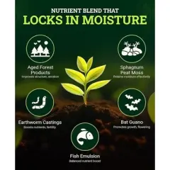 FoxFarm Ocean Forest 12 Qt. Potting Soil