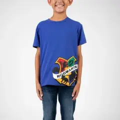 Harry Potter Hogwarts Houses Crew Neck Short Sleeve 4pk Boy's Tees