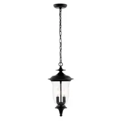 Dowell 9" Outdoor Pendant - PLT4033 - Black - Safavieh