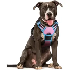 rabbitgoo Dog Harness No Pull with 2 Leash Clips, Control Handle for Large Dogs, Pink & Blue, L