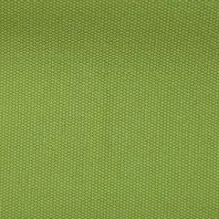 Director's Chair Replacement Canvas Lime Green - Flora Home