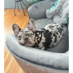 Parisian Pet 'Freedom Harness Leopard' for Dogs & Cats &ndash; Comfortable, Durable Adjustable Leopard Print Pet Harness