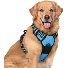 rabbitgoo Dog Harness No Pull with 2