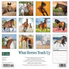 Willow Creek Press 2024 Wall Calendar 12"x12" What Horses Teach Us