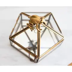 Ukonic Harry Potter Gold Chocolate Frog Jewelry Box Storage Case Organizer