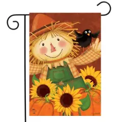 Briarwood Lane Garden Flag 12x18 For Outdoor Happy Scarecrow Fall For Fall Garden Flag Flags For Outside