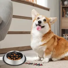 Unique Bargains Slow Feeder Dog Bowls with Silicone Insert 1 Pc