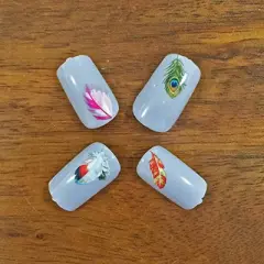 Wrapables Fingernail Tattoo Nail Art Water Nail Tattoos Water Transfer Slide Tattoos Nail Decals, Feathers (11 Designs/248 Nail Tattoos)