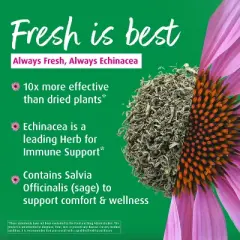 A. Vogel Echinaforce Soothing Throat Spray &ndash; Fresh Organic Echinacea & Sage &ndash; Immune Support Supplement &ndash; Non-GMO, Dairy & Gluten Free &ndash; 1 fl oz
