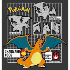 Boy's Pokemon Charizard Info Grid T-Shirt