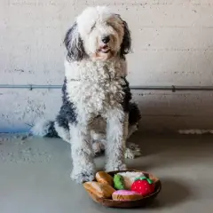 Charcuterie Board Dog Toy