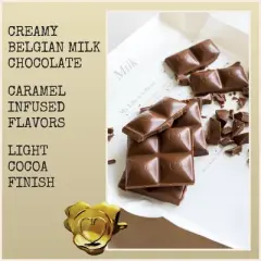 Chocolove Milk Chocolate Candy Bar - 3.2oz