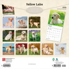 BrownTrout Yellow Labrador Retrievers 2026 12"x24" Hanging Square Wall Calendar Plastic-Free