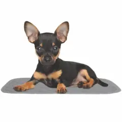 rocket & rex Washable Reusable Pet Carrier Replacement Pads - XS - 2ct