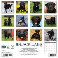 Willow Creek Press 2026 Black Labs Wall Calendar