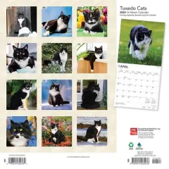 Browntrout 2024 Wall Calendar 12"x12" Tuxedo Cats