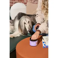 Wild One CALM Normal Stress & Relaxation Wellness Supplement Soft Chews for Dogs - 120ct
