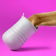Dog Paw Scrub Cleaner - up&up&trade;