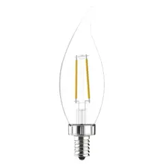 GE 2pk 40W Light Bulbs Soft White