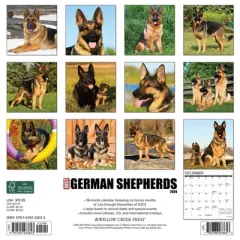 Willow Creek Press 2024 Wall Calendar 12"x12" Just German Shepherds