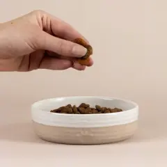 Mason Cash: Heart Paw Pet Bowl, 5.1", 8.4oz, Cream & Tan,Food-Water Dish