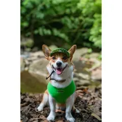 Parisian Pet 'Freedom Harness' for Dogs & Cats &ndash; Comfortable and Durable Neon Green Pet Harness-Saint Patrick's Day