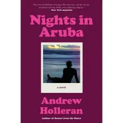 Nights in Aruba - by  Andrew Holleran (Paperback)