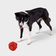 Plush Treat Dispenser Dog Toy - Boots & Barkley&trade; Terracotta Orange