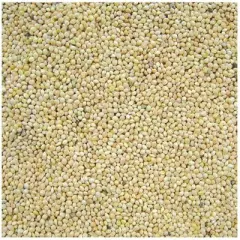 Cole's White Millet Wild Bird Seed