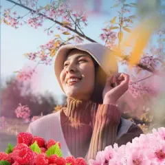 Air Wick Vibrant Essential Mist - Cherry Blossom & Raspberry - 0.67 fl oz