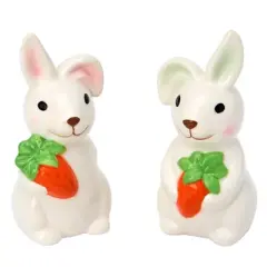 The Lakeside Collection Whimsical Spring Teal Bunny Easter Tabletop Collection - Salt and Pepper Shaker Set